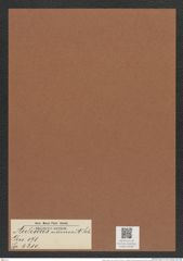 Auliscus nanus A. Sch. (de-Toni-Nr.: Genus 171, Species 4310) Zeichnungen Sammlung Grunow Mappe 04282 (Herbarium_W_Grunow_drawings_Folder_04282)